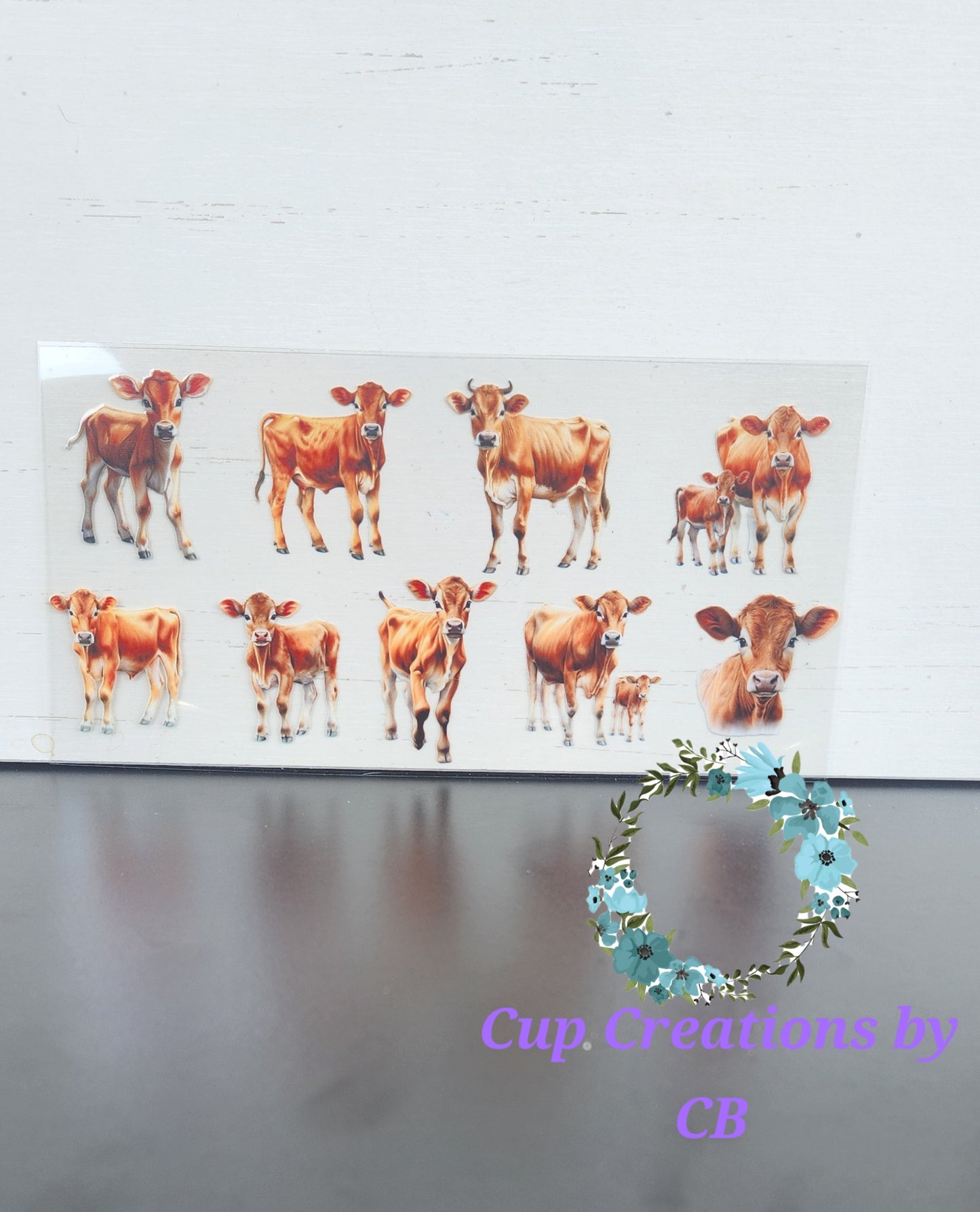 Jersey Cows